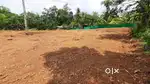 സെൻ്റിന് 1 ലക്ഷം .32 സെൻ്റ് നിരപ്പായ കരഭൂമി വെള്ളനാട് Jn നിന്ന് 2 km ൽ