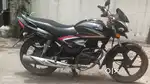 Well-Maintained Honda CB Shine 2017 – Smooth Ride, Great Deal!