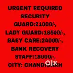 All Security Guard job chandigarh 6