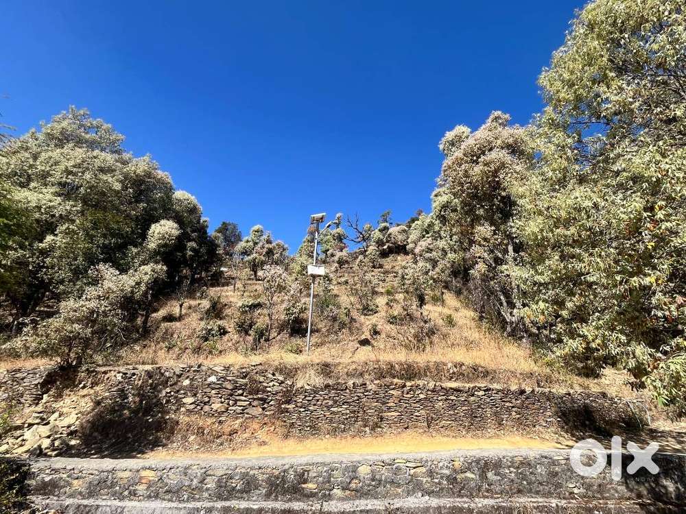 Land for Sale near Dunagiri Temple/Kukuchina /Mahavatar Baba Cave