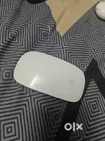 Apple mouse