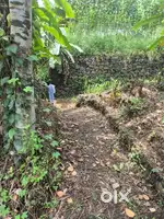 44 Cent Land for Sale