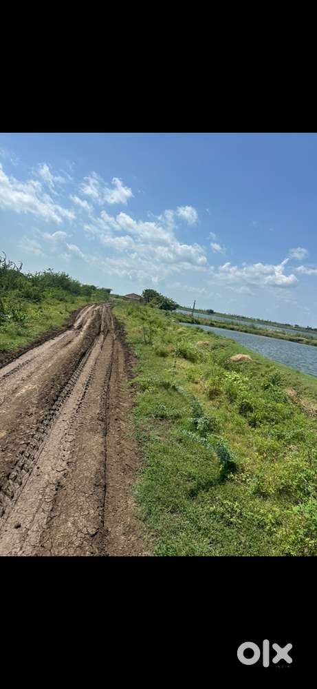 2 acres agriculture Land for sale, Vangalapudi village , Rajahmundry