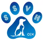 Receptionist & Front Office Manager