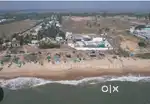 Ecr direct beach view plot