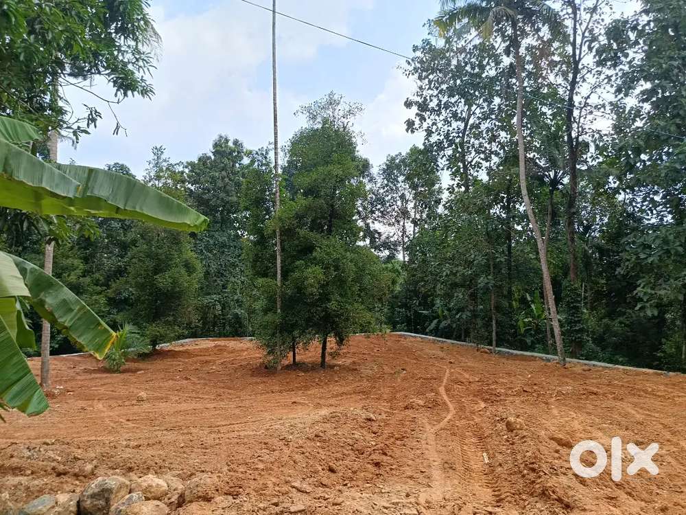 10 cent plot for sale near kolenchery