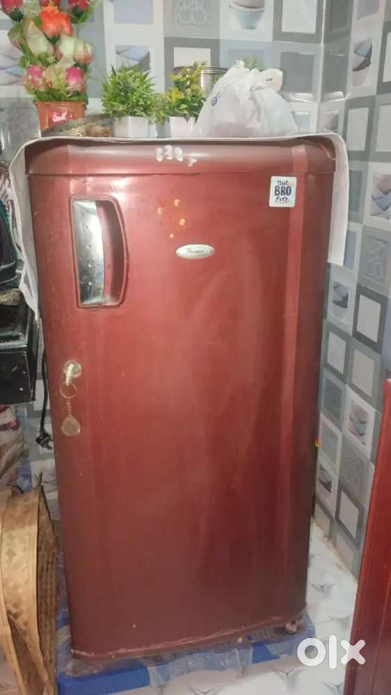 Single door fridge