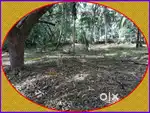 RENT - 28 cents Land for commercial use near West Hill