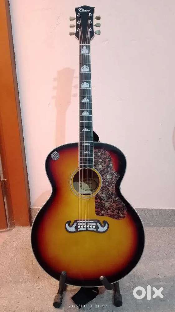 Guitar ed49 with eco without amp