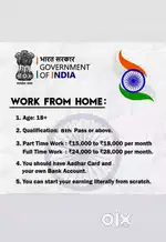Work from home government project