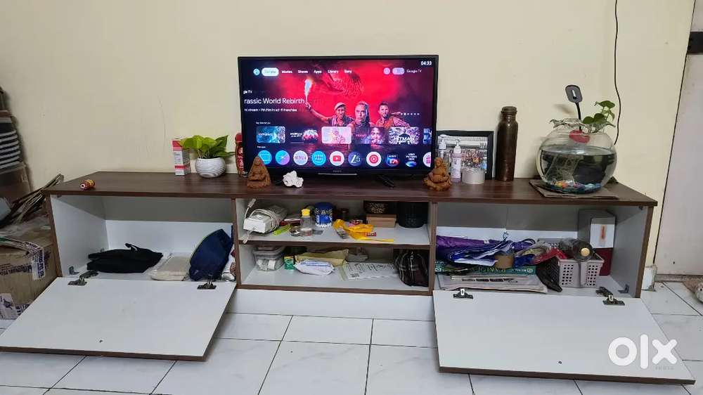 Television Unit