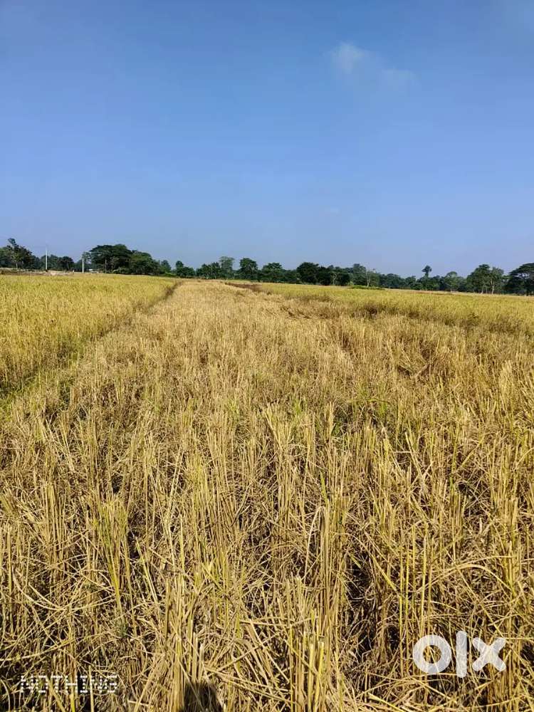 1 Bigha ( 1 plot) near NH 27 ,