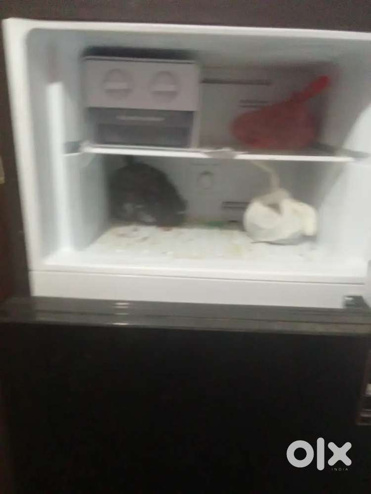 Godrej 2 Door Fridge