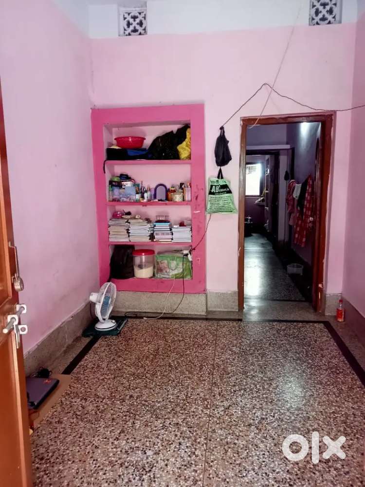 Need one girl roommate