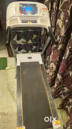 Cockatoo treadmill