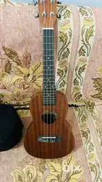 Ukulele,Guitar,casio for sale