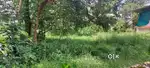 Very Urgent Sale
Kakkanad. Vikasvani junction near infopark 
30.cent