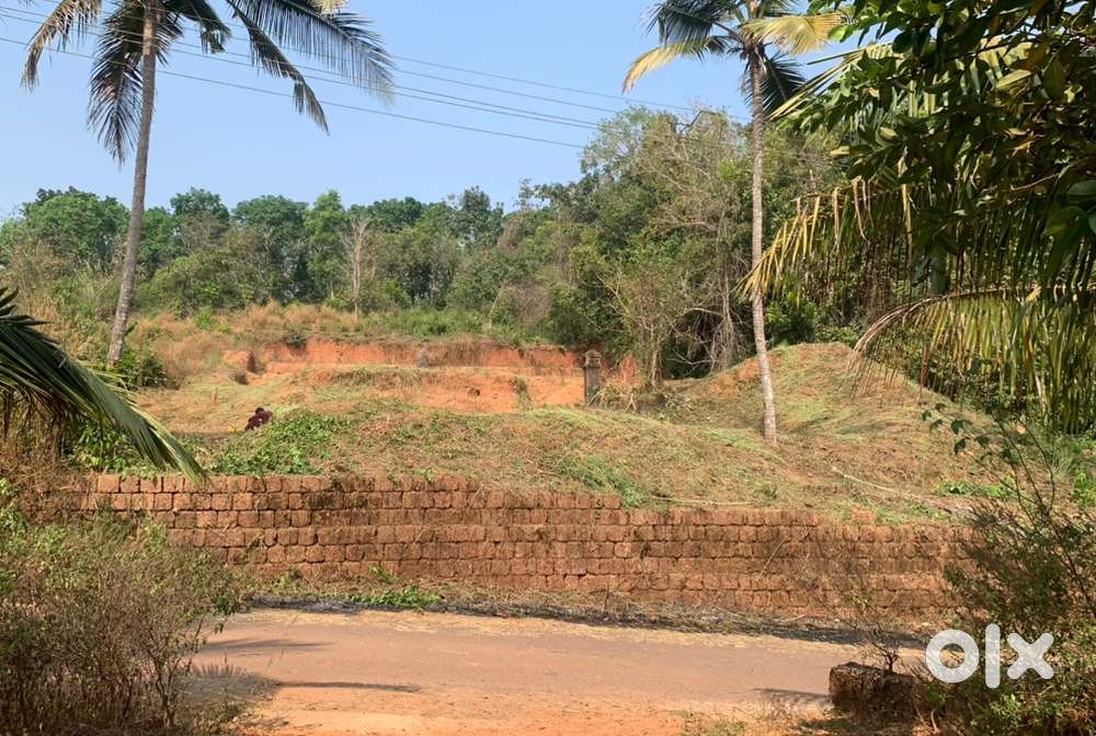 Mattannur മട്ടന്നൂർ എളമ്പാറ 40 സെന്റ് ഹൌസിംഗ്‌ പ്ലോട്ട് വില്പനക്ക്