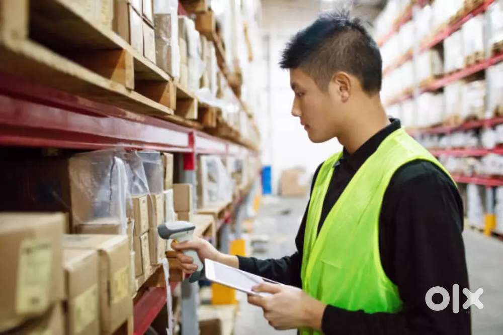 Warehouse operating on freshers