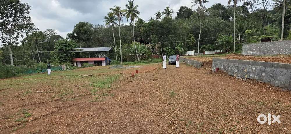 Molakuzha Kozhuvaloor road frontage house plot for sale.