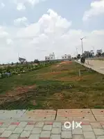 Exclusive Land Sale: Prime Location, Great Price!