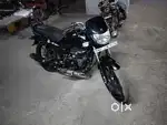 Model 2024