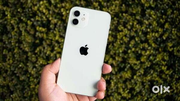 Iphone 16 Plus 128 GB