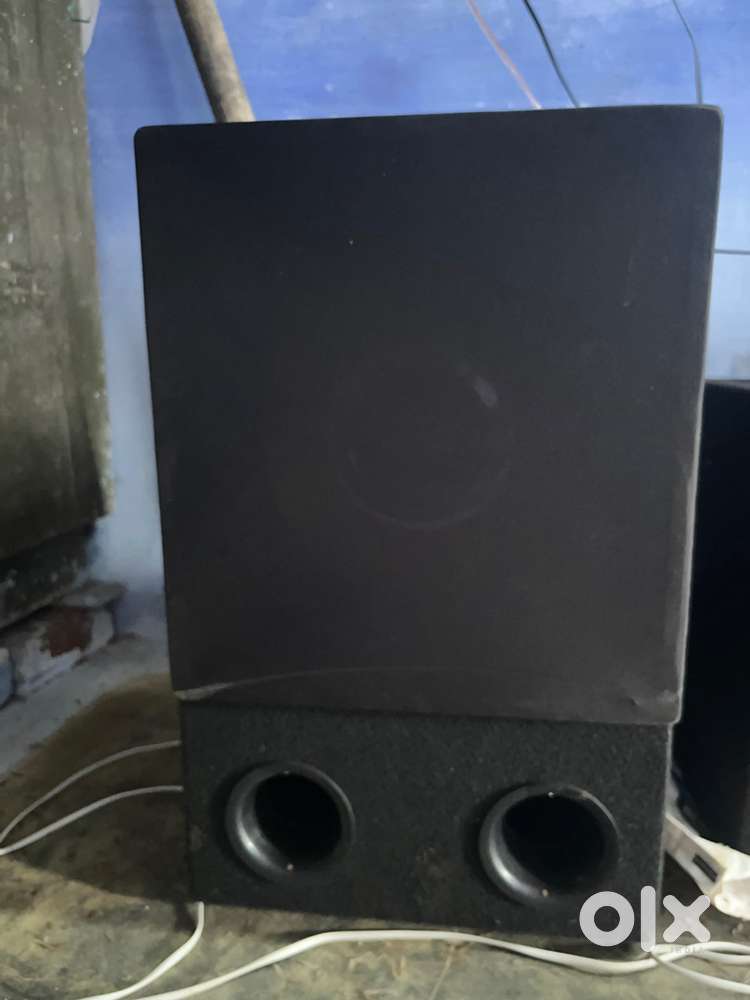 dainty subwoofer 12 inch