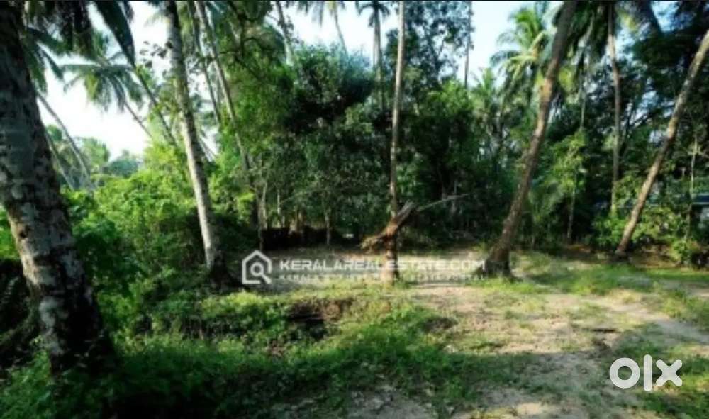 HOUSE PLOT FOR SALE 42 CENT