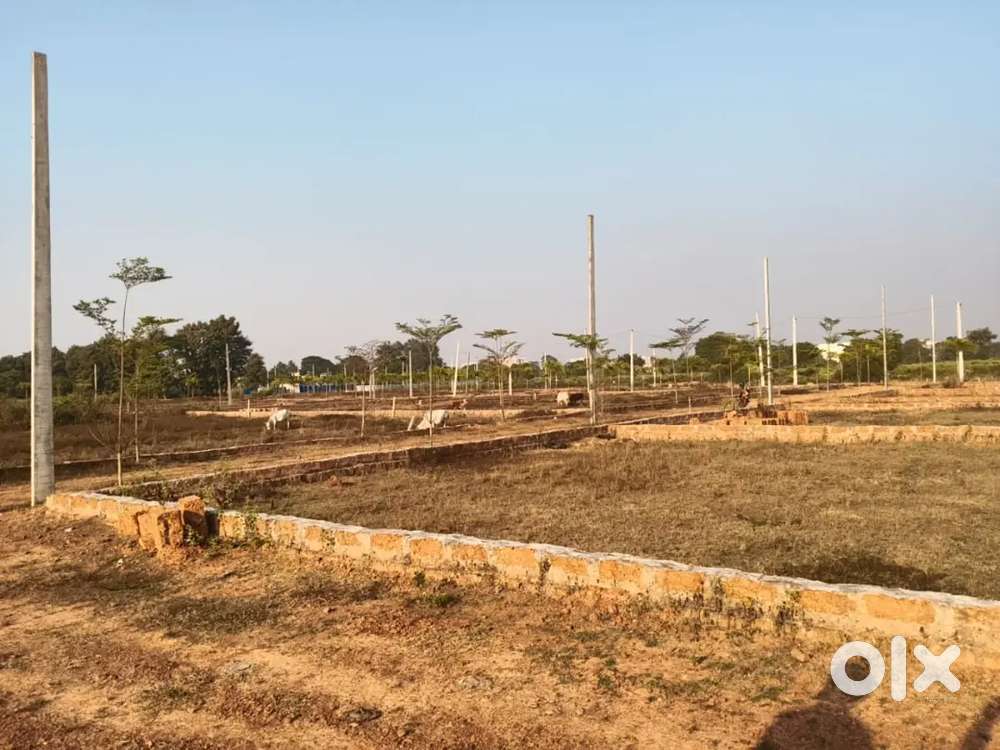 Trisulia, Tankapani road, kesura