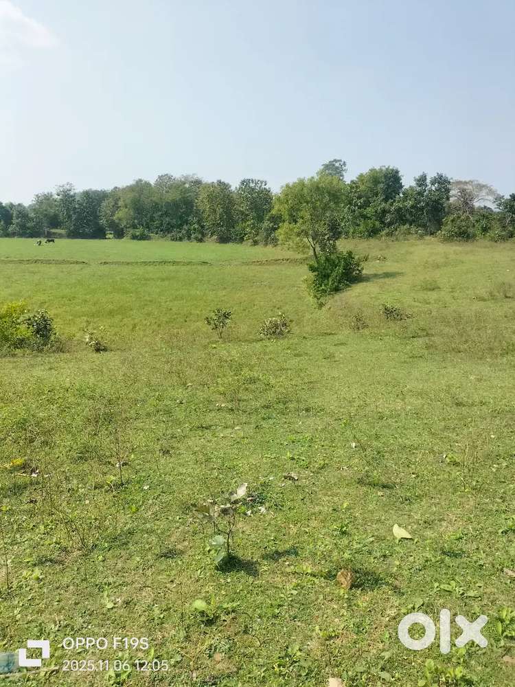 1ekad khet h aadarsh nagar Dongargarh k piche laga hua h