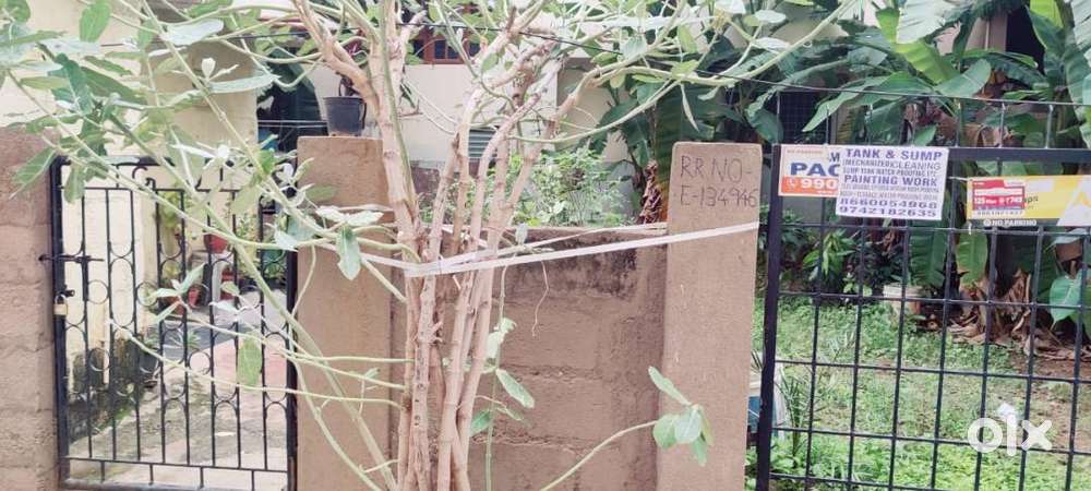 1200 sqft plot for sale in HRBR Layout, Bangalore
