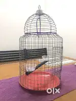 Bird home (cage)