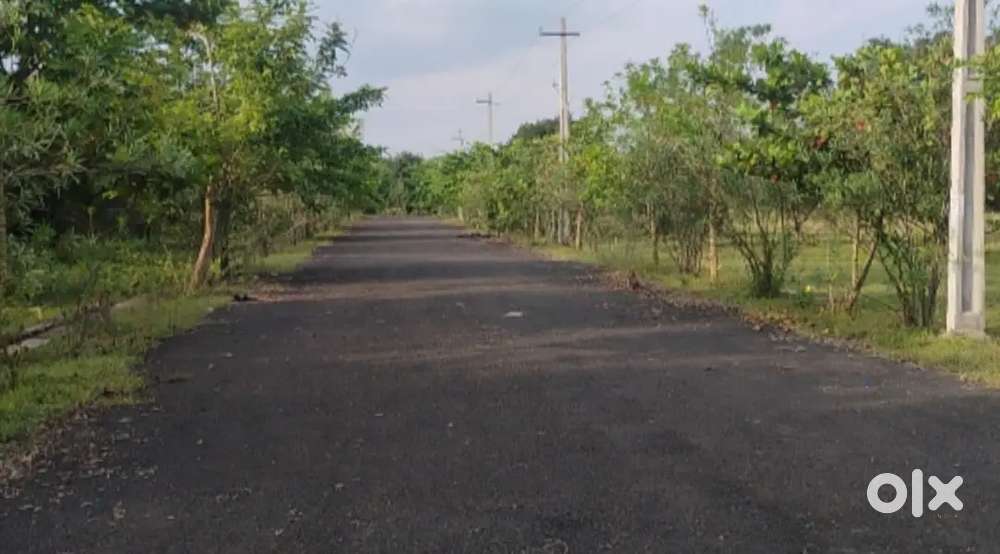 రింగ్ రోడ్డు దగ్గర లే అవుట్