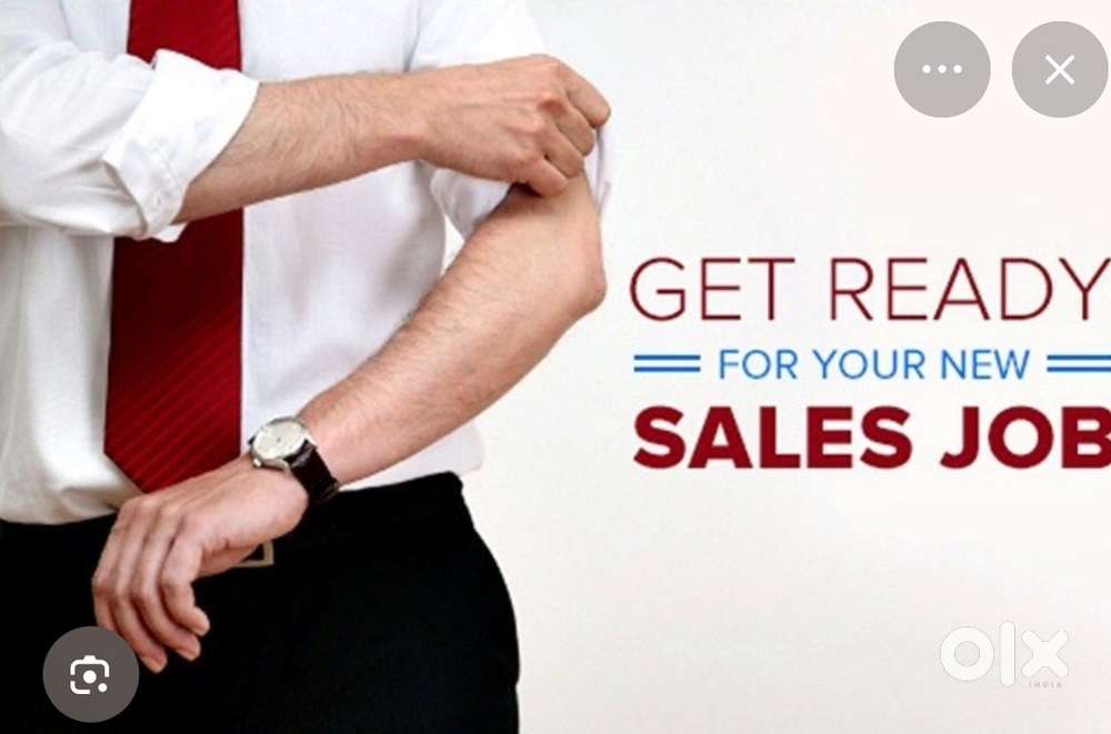 Sales Officer- B2C Lighting, Bajaj Electricals Ltd.,