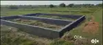 Greater Noida Mein Plot Sirf 1.75 Lakh Mein ( Investment Plot )
