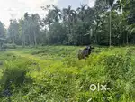 10 cent land suitable for sale near info park