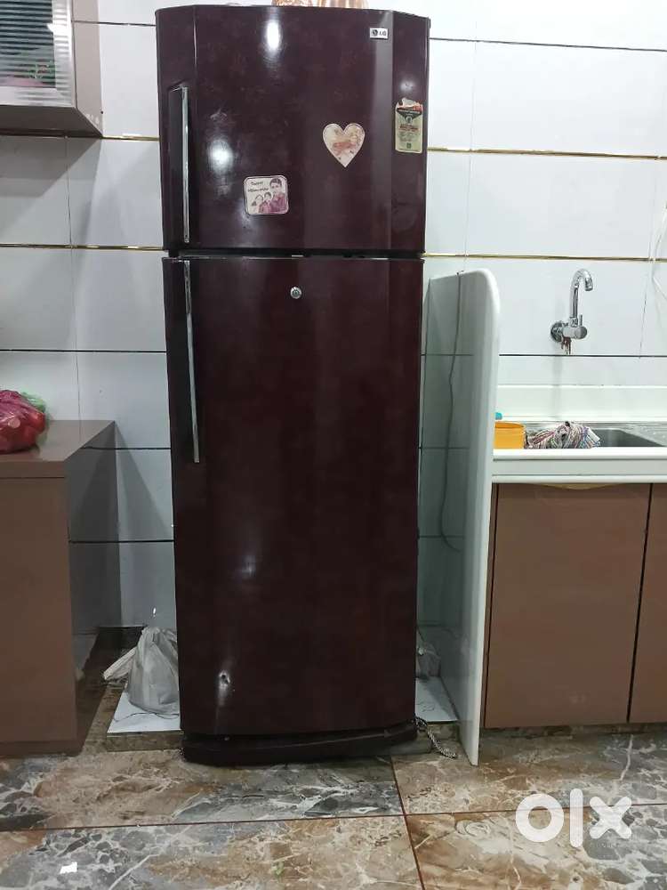 LG Double Door (320 Litres)