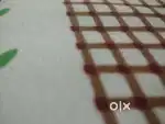 Manimajra complex ya duplex me kisi ko Darevr ki jarurat ho content me
