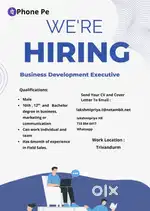 Business development executive