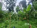 Nearest bharanganam town housing plot for sale