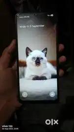 Samsung galaxy a06 5g