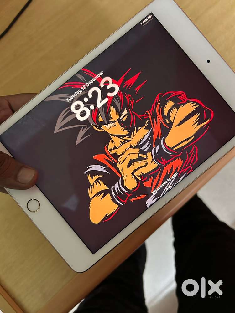 Ipad mini 5