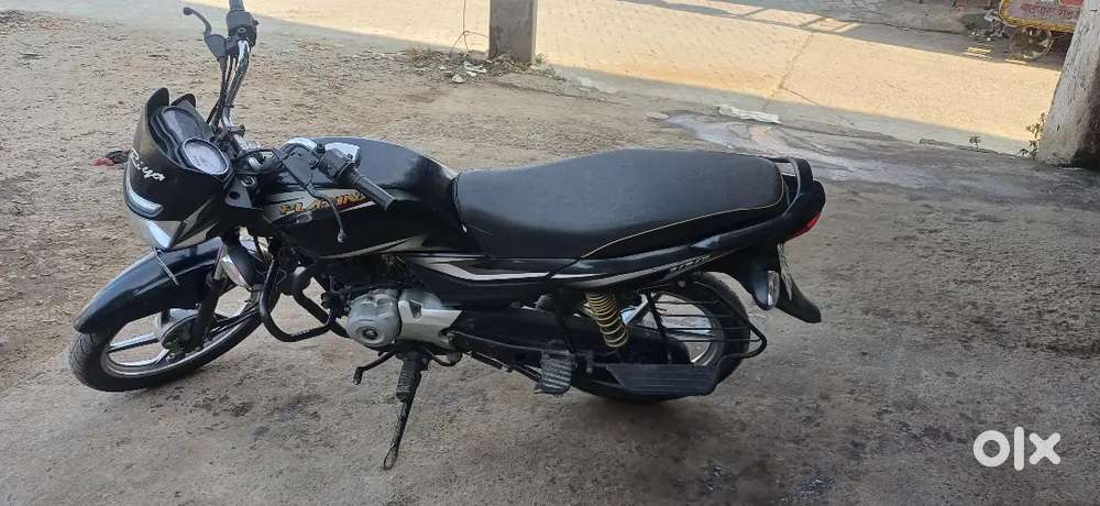 Good looking Single had