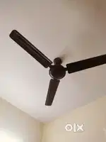 Instant Gyser