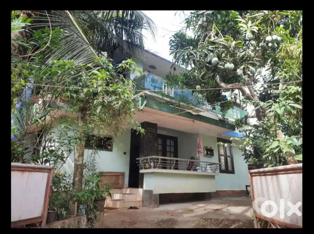 5cent road side well good