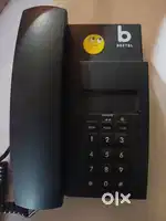 Landline telephone