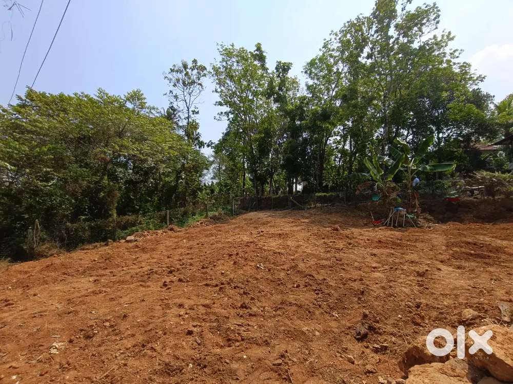 പുത്തൻകുരിശ് പൂത്രിക്കയിൽ 10 സെന്റ് പ്ലോട്ട്