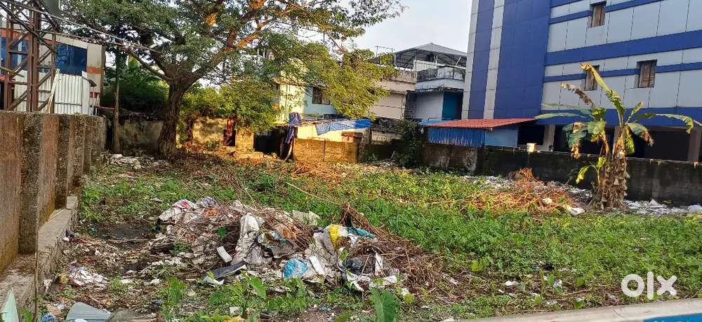 20 Cents Commercial Land for Sale Kathrikadavu Kochi