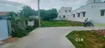 5 cent land near narasigapuram busstop with one mango tree